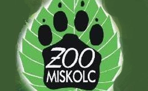 Állatkerti szezonnyitóra készülnek Miskolcon